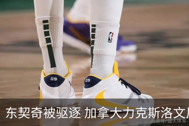 东契奇被驱逐 加拿大力克斯洛文尼亚晋级四强