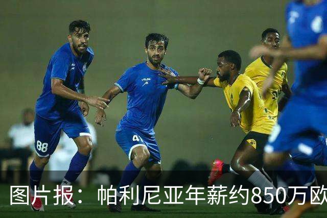 图片报：帕利尼亚年薪约850万欧，大概率将在季前备战回归拜仁